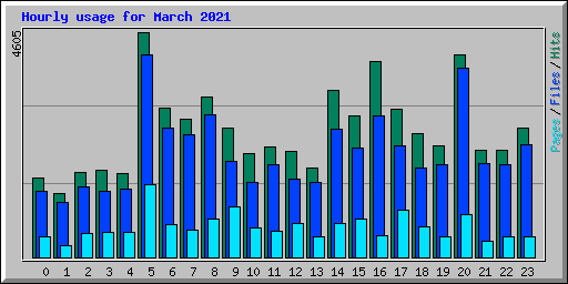 Hourly usage for March 2021